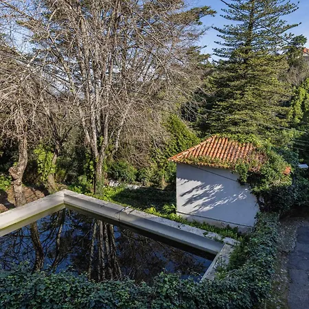 Hotel Wow - Unique Double Smart In 17th Century Palace! Hot Tub, Snooker, Bbq, Ps5, Sauna, Gym Sintra